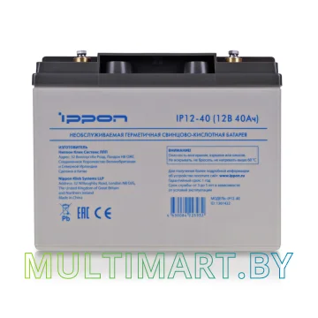 Аккумулятор для ИБП IPPON IP12-40 (12В/40 А·ч) картинка 3